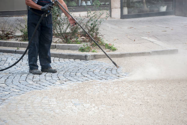 Best Animal Enclosure Cleaning  in Kendall West, FL